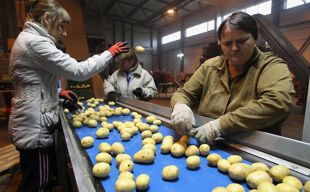 Екатерина Кузьмина / РБК