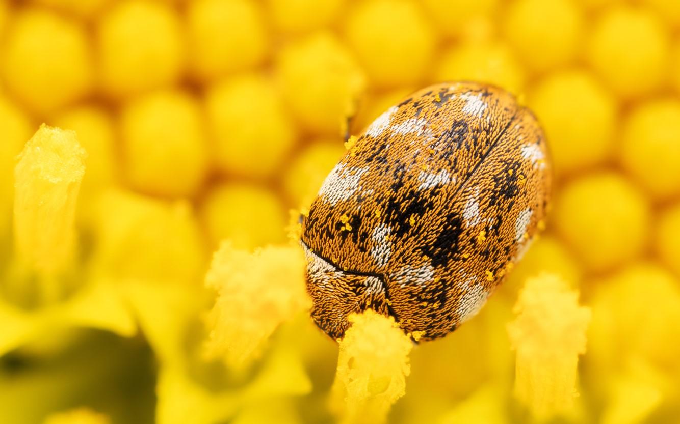Фото: Ferenc Speder / Shutterstock / FOTODOM