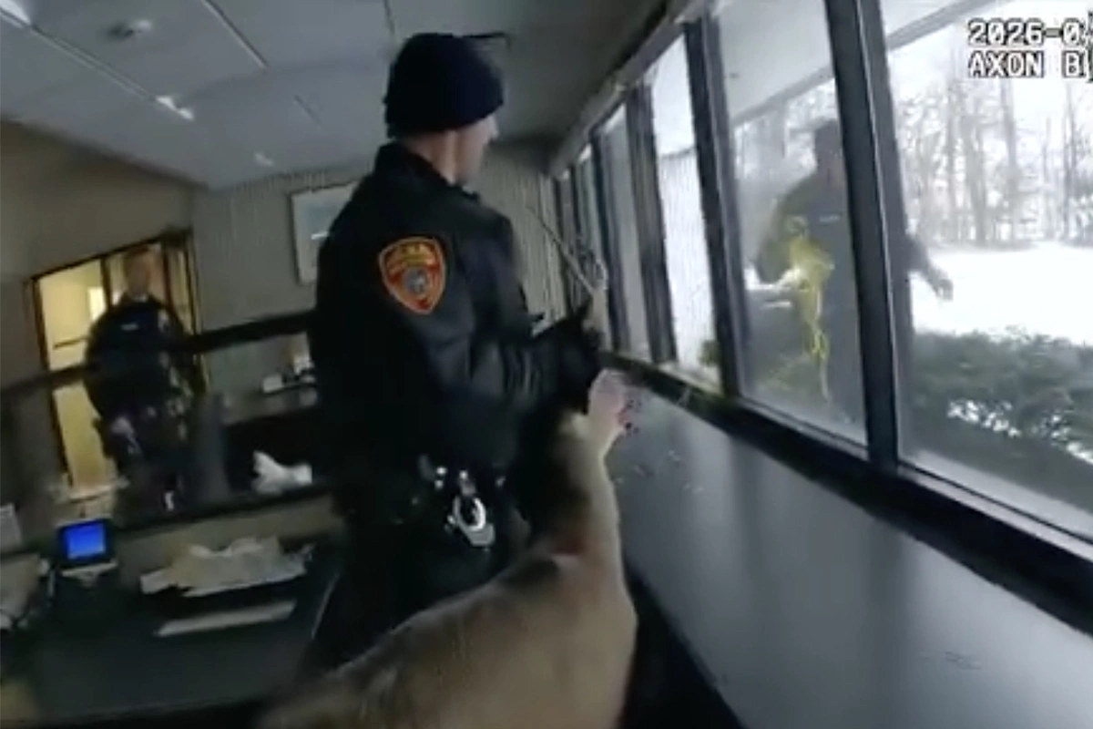 В США олень ворвался в банк. Что произошло с нарушителем спокойствия