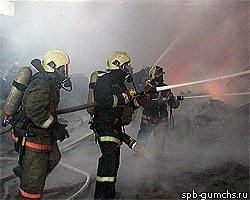 В пригороде Петербурга огонь уничтожил ресторан "Лесной"