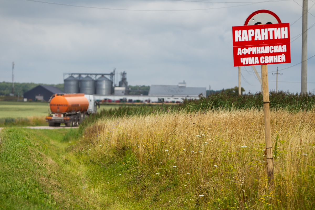 Александр Подгорчук