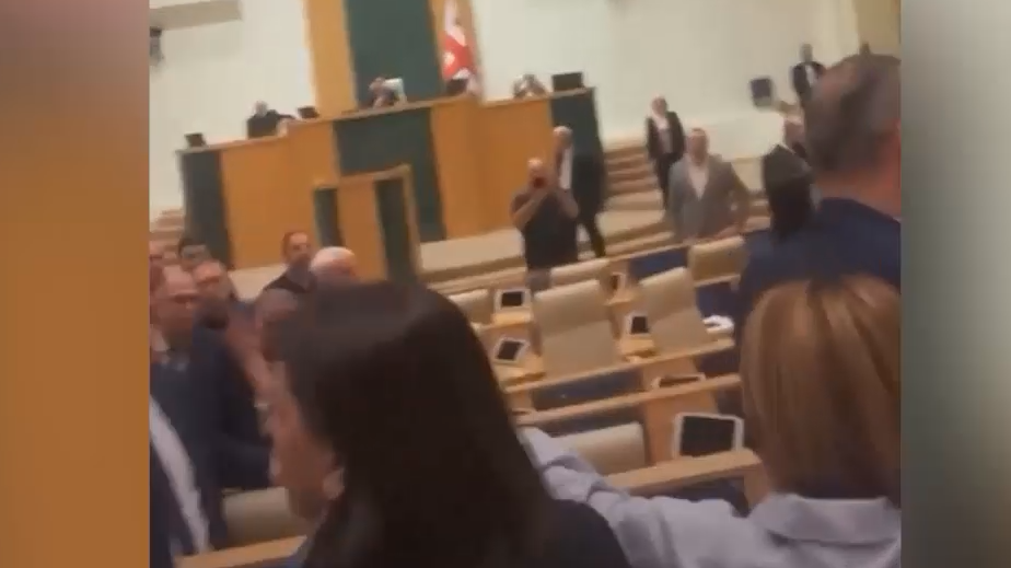 В парламенте Грузии произошла драка из-за закона об иноагентах