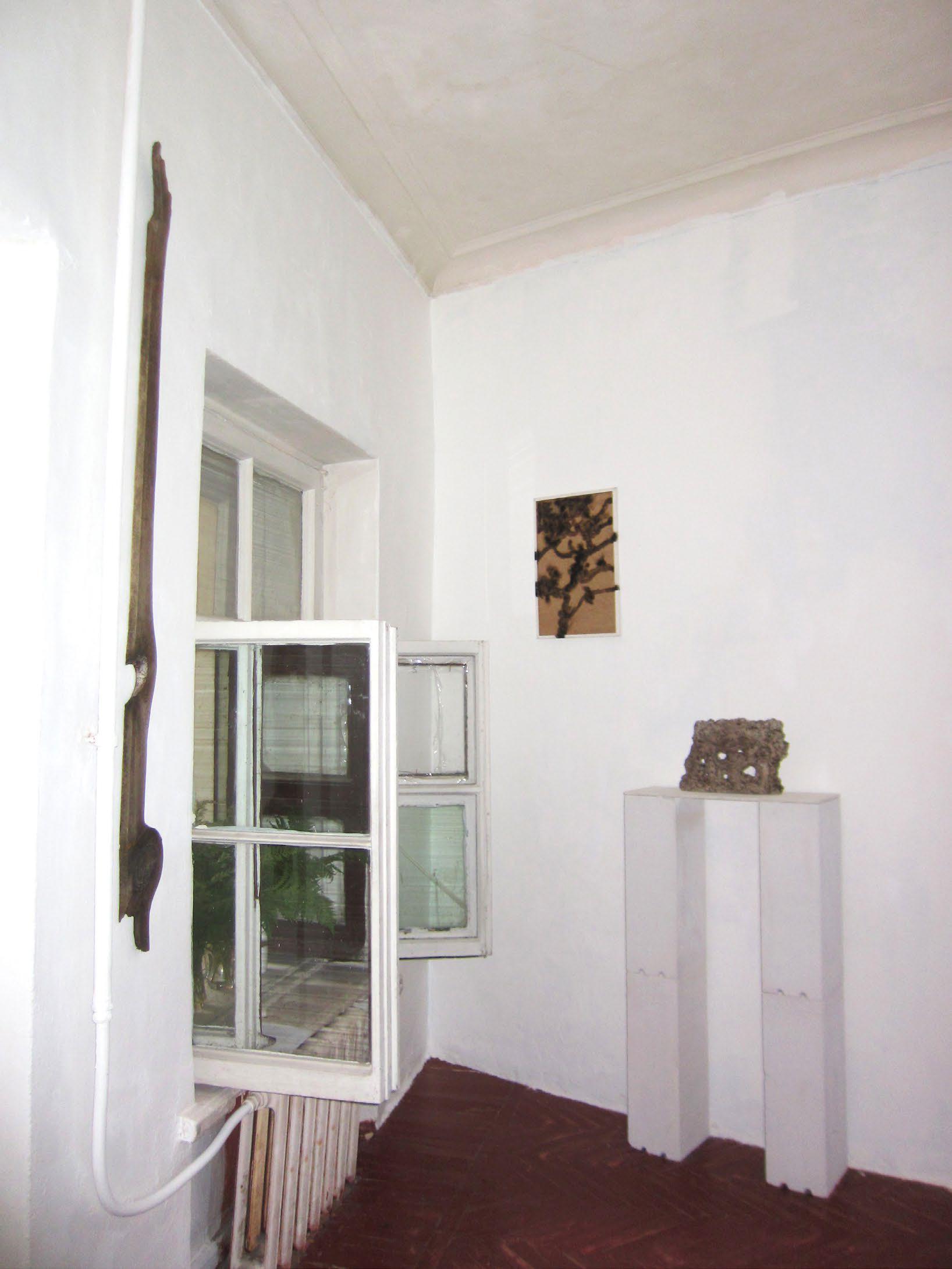 Выставка Ани Раненое «Церковь папоротника» в галерее «Марина»