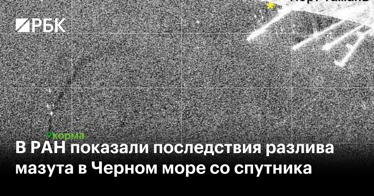 Разлив мазута в черном море как произошло. Разлив мазута в черном море как произошло