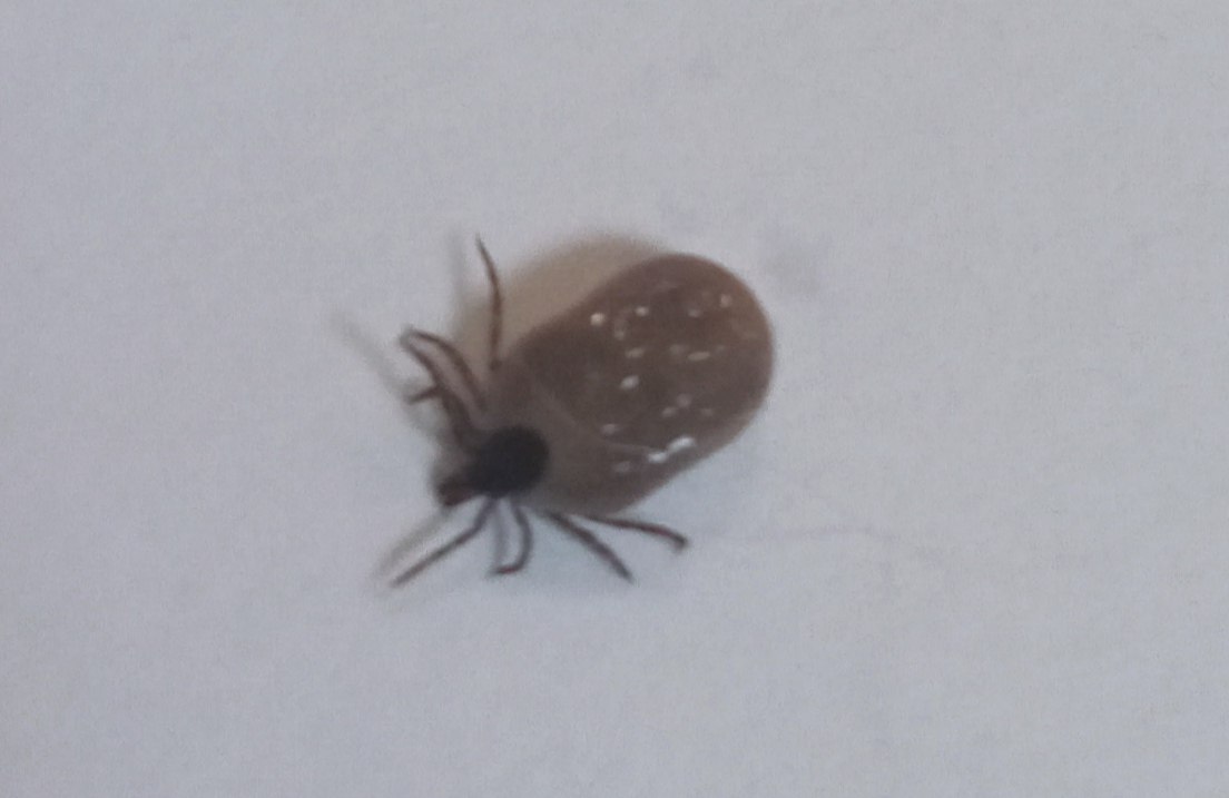 Фото: РБК Новосибирск