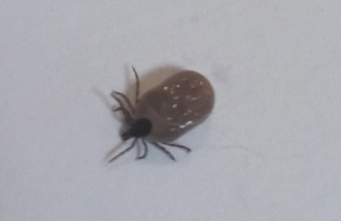 РБК Новосибирск