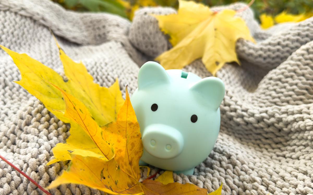 Фото:Shutterstock