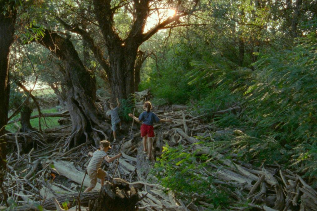 Кадр из фильма «Короткое лето»