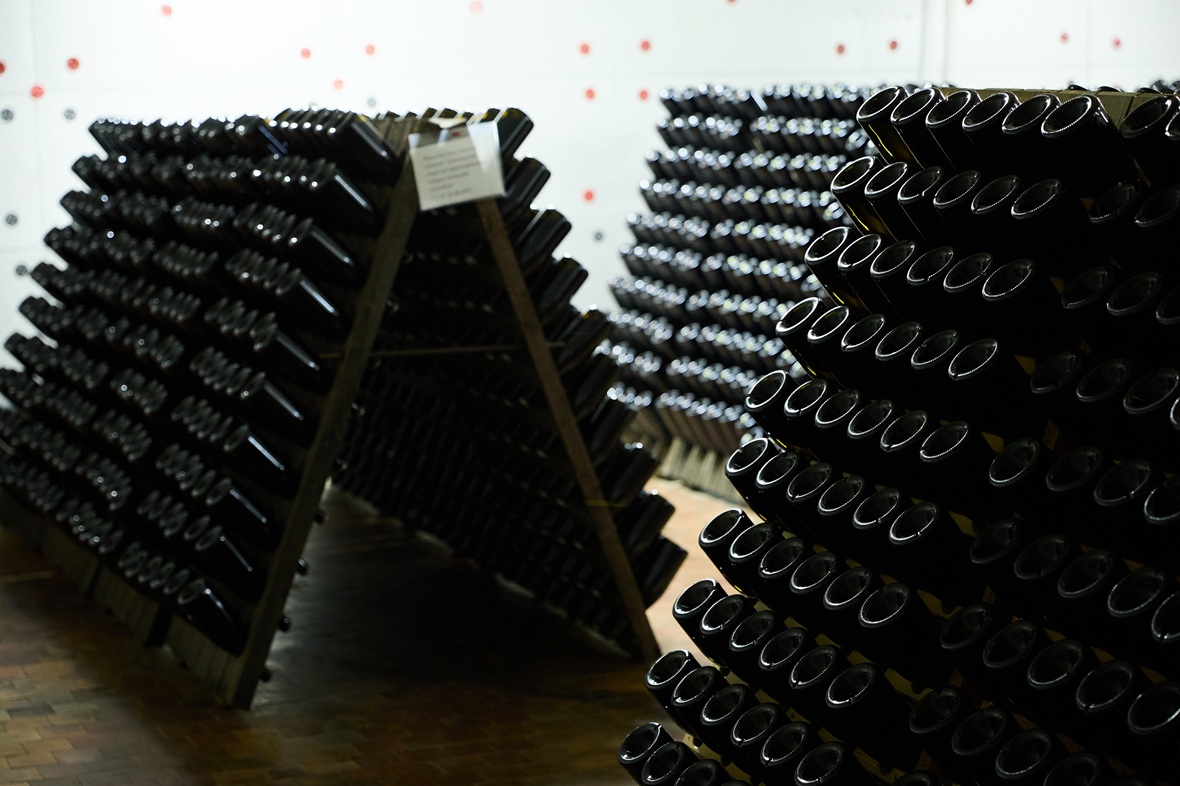 Площадь собственных виноградопригодных земель&nbsp;достигла 1,67 тыс. га&nbsp;, плодоносящих виноградников - 584 га.&nbsp;Производство достигает 10 млн бутылок в год.&nbsp;