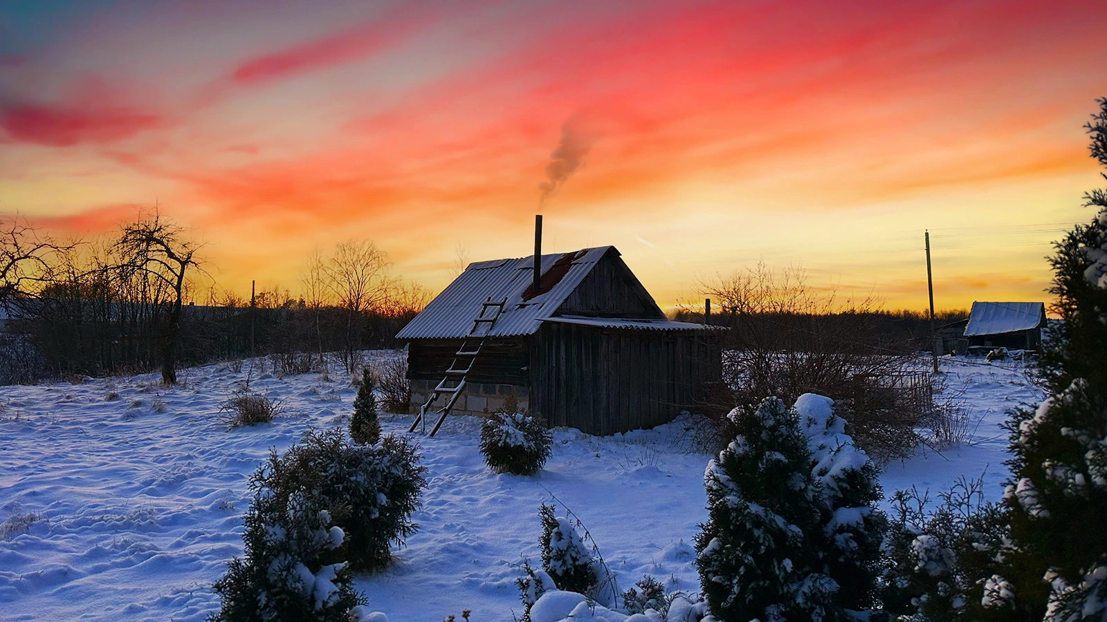 В Белоруссии выставили на продажу деревню Веселуха. Что в ней необычного