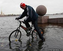 Шторм и наводнение в Петербурге не прошли без ущерба