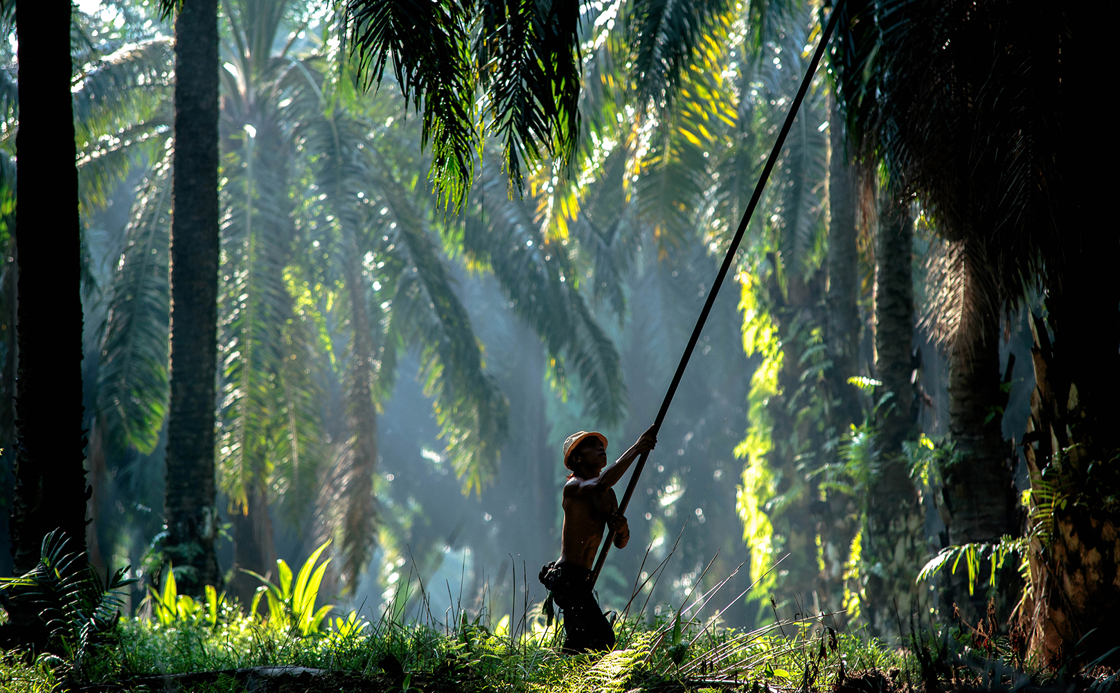 Фото: Shutterstock