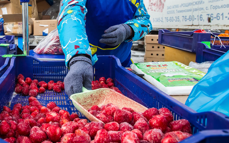 В Тюмени будут производить сублимированные ягоды.