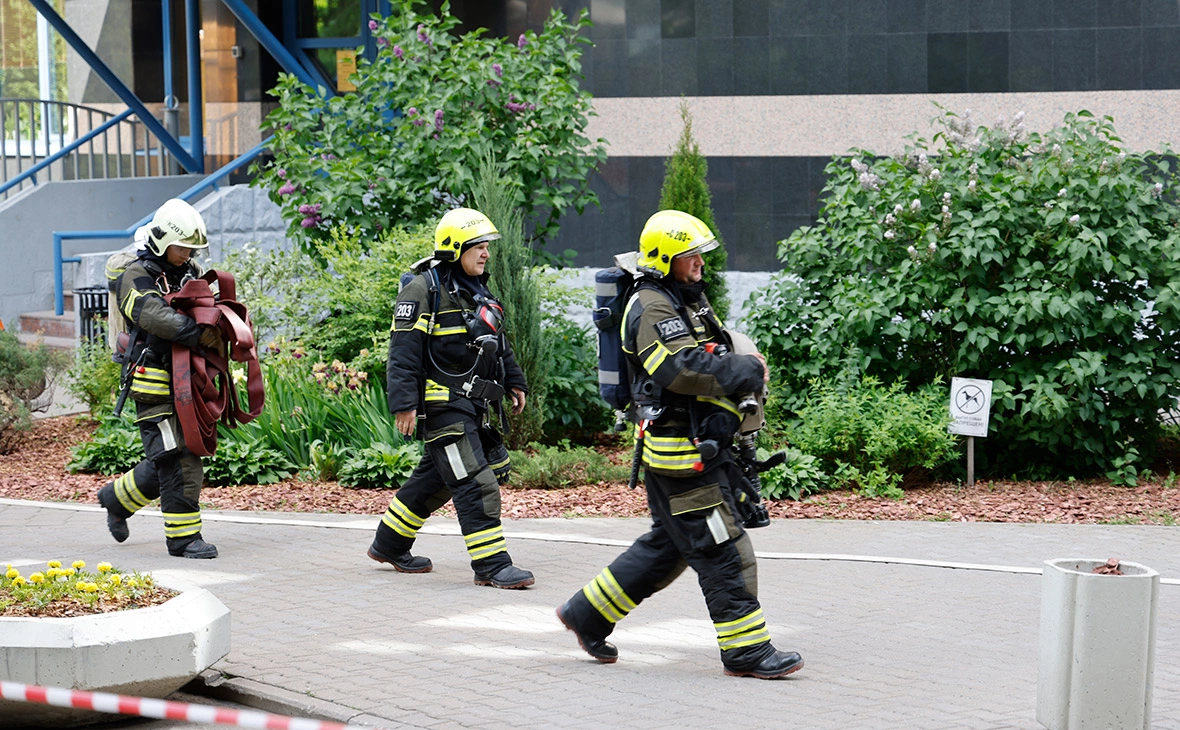 Михаил Гребенщиков / РБК