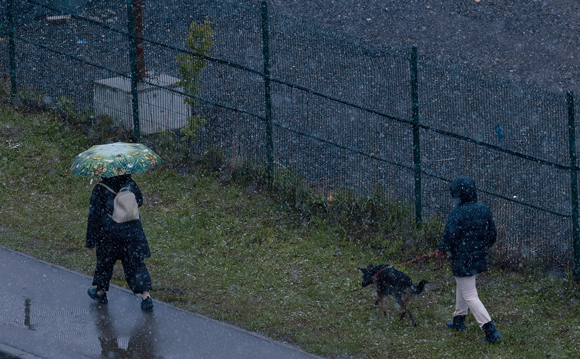 Андрей Любимов / РБК