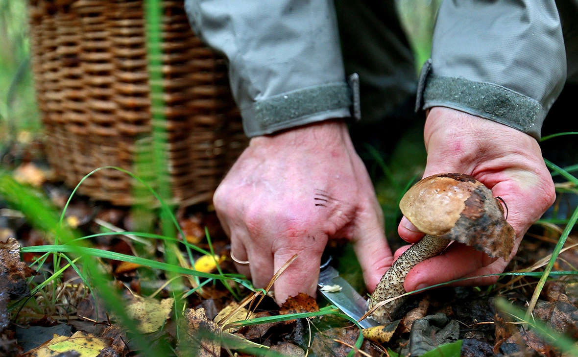 Владимир Смирнов / ТАСС