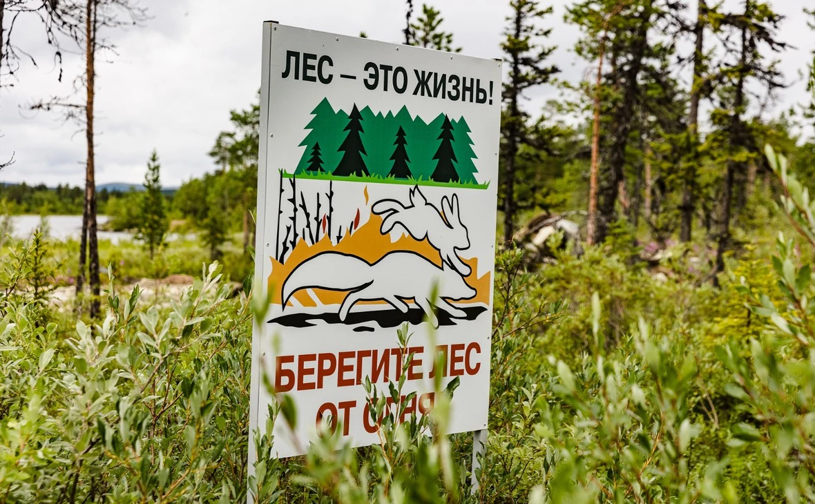 mpr.gov-murman.ru