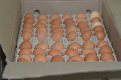 Правительство Камчатского края