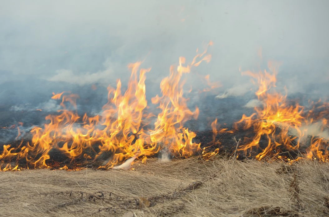 Вадим Ахметов / РИА URA.RU