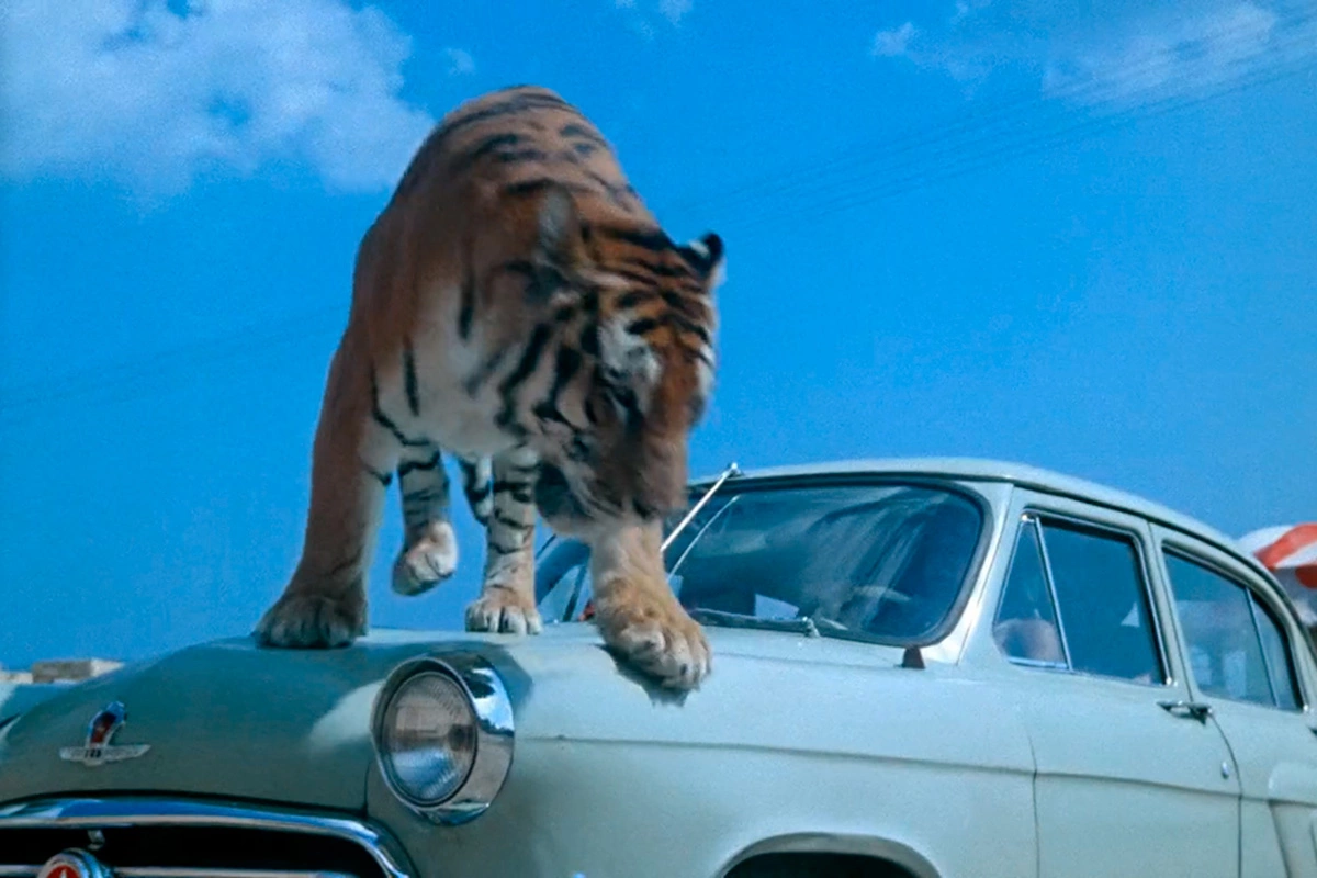 Кадр из фильма «Полосатый рейс» (1961), режиссер Владимир Фетин