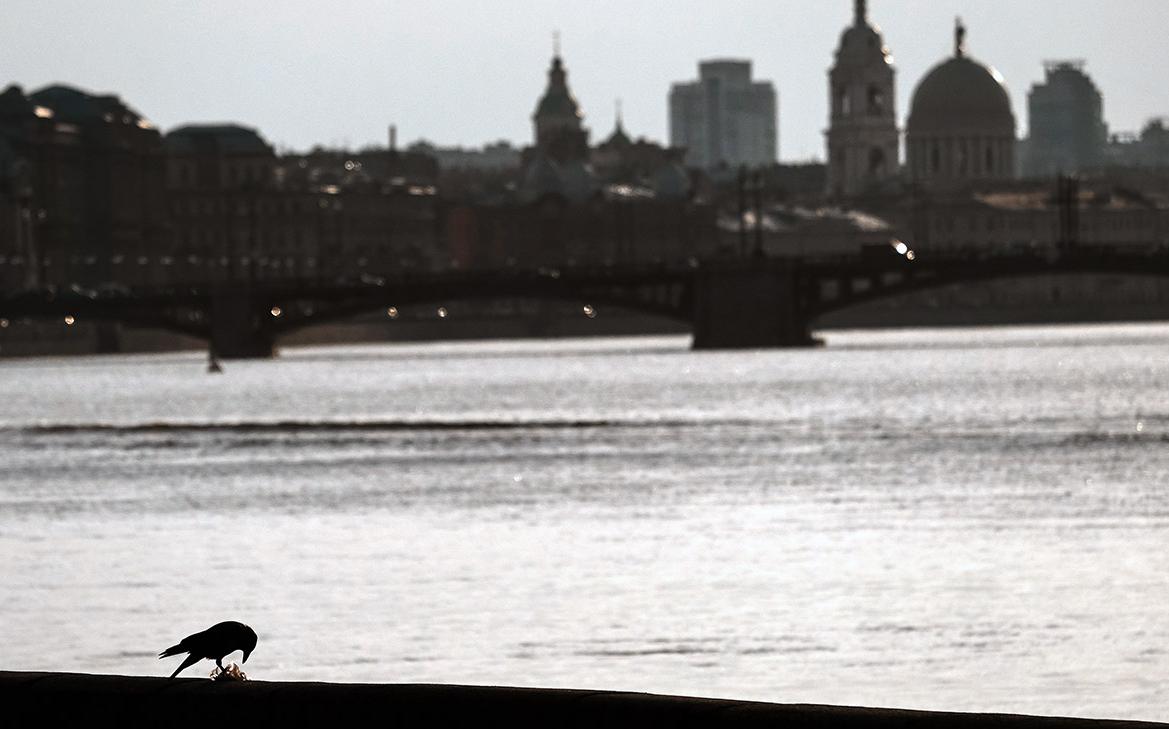 Фото: Алексей Даничев / РИА Новости