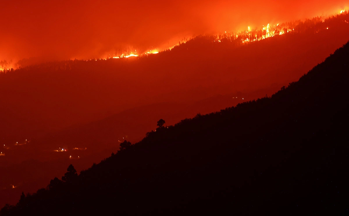 Nacho Doce / Reuters