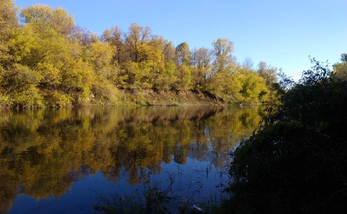 проектная документация