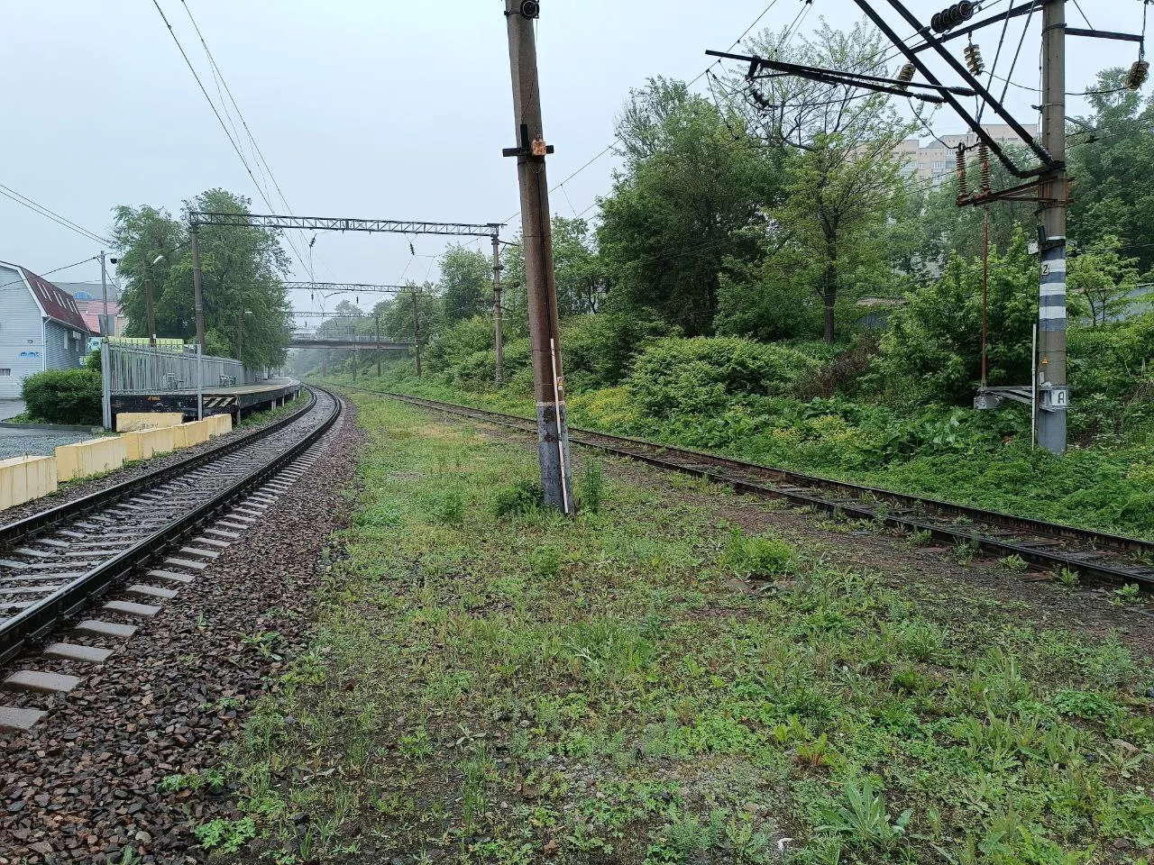 РБК Приморье