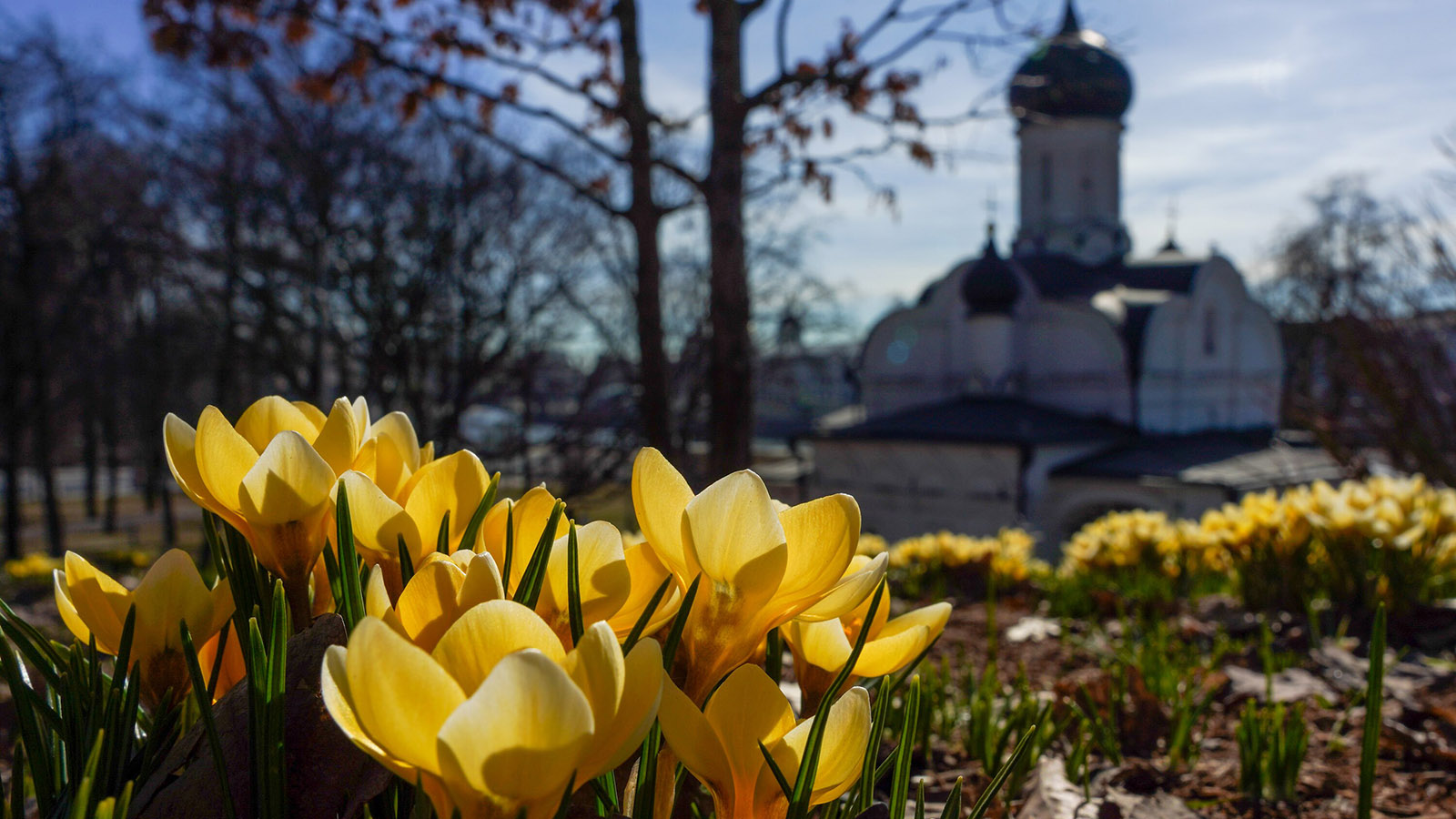 Синоптик рассказал, когда в Москве начнется майская погода
