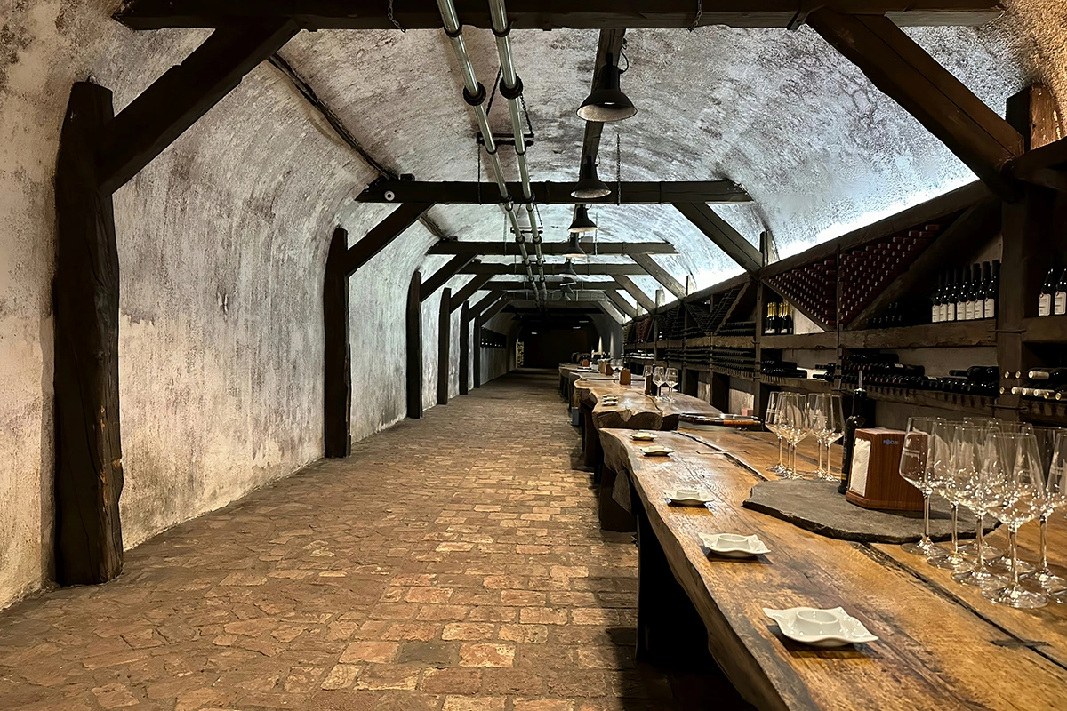 Роскошный максимум: получать вино в подарок от виноделов