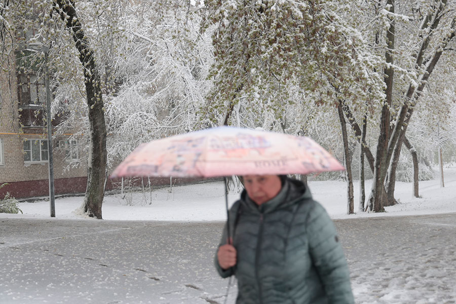 Михаил Гребенщиков / РБК