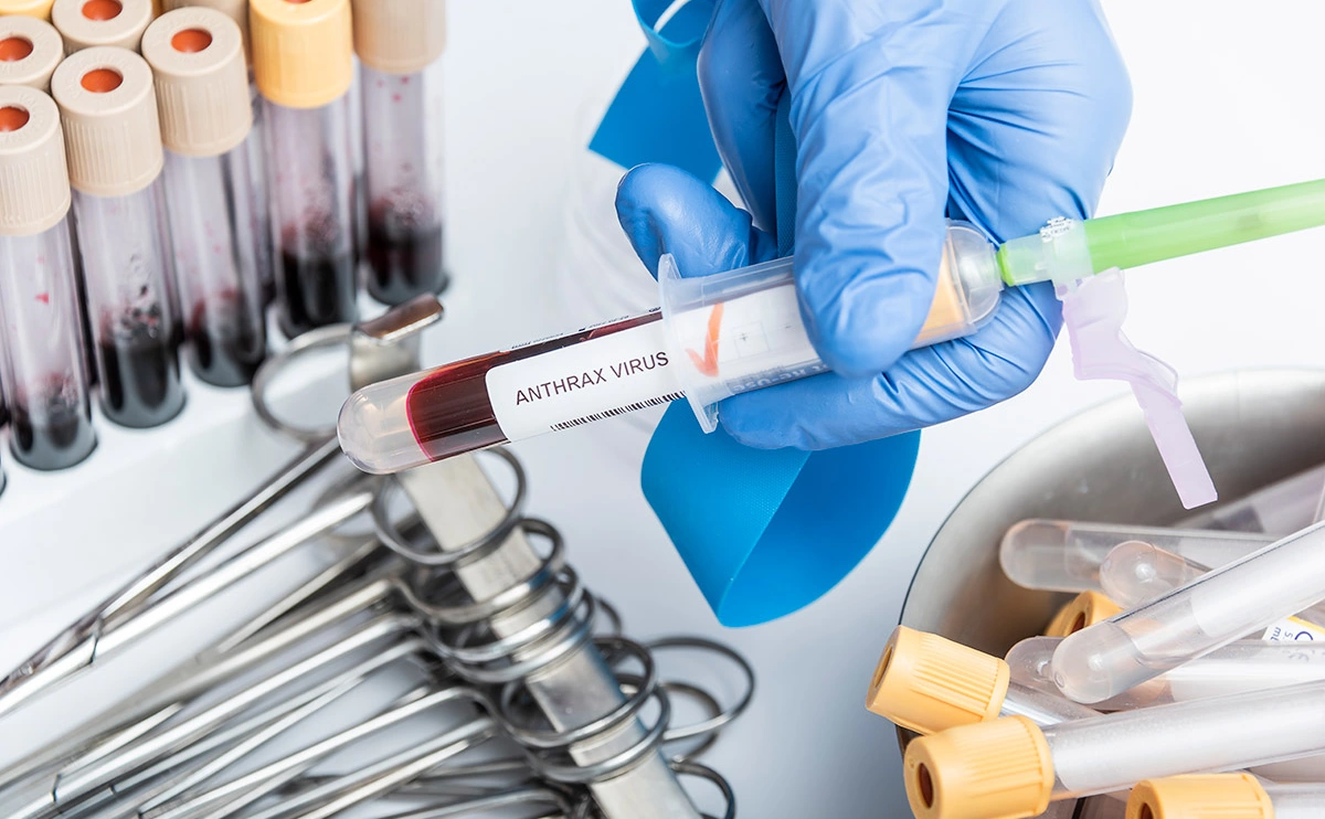 Jbruiz / Shutterstock