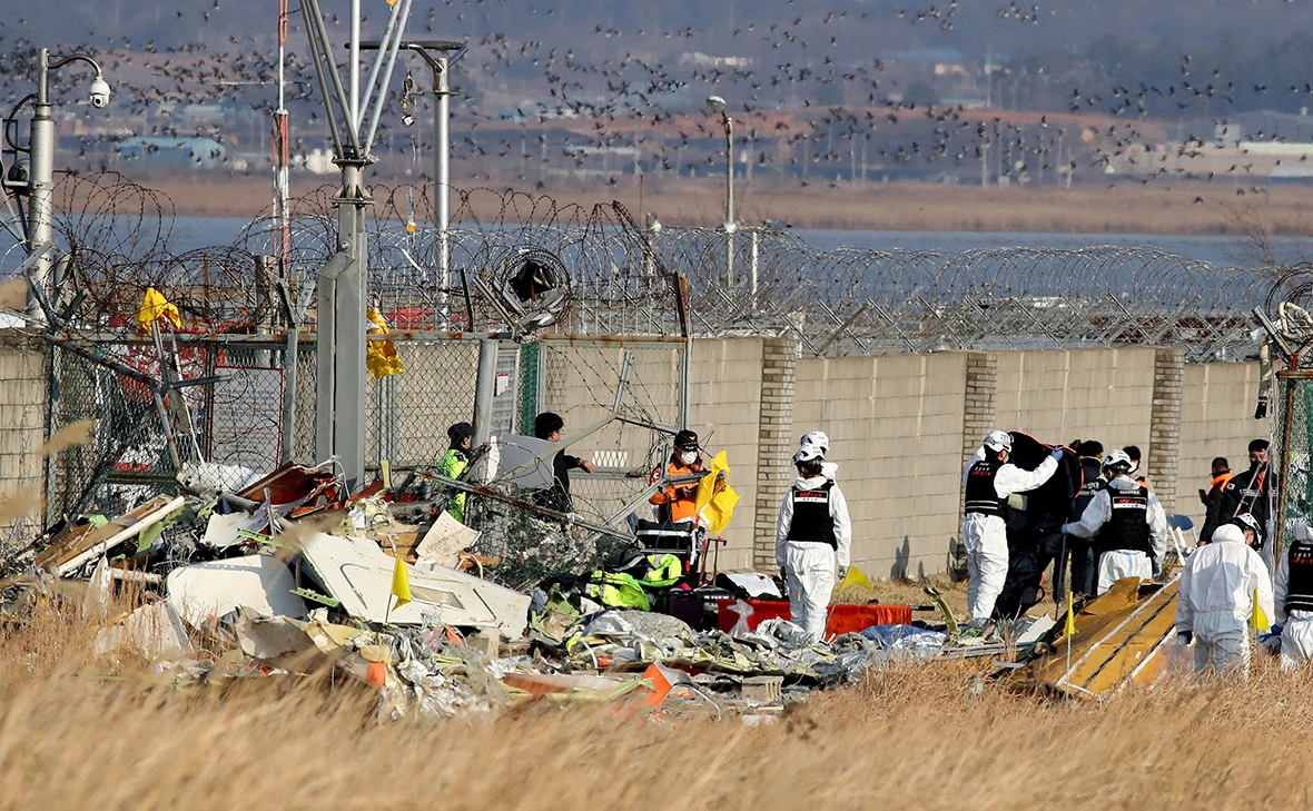 Chung Sung-Jun / Getty Images