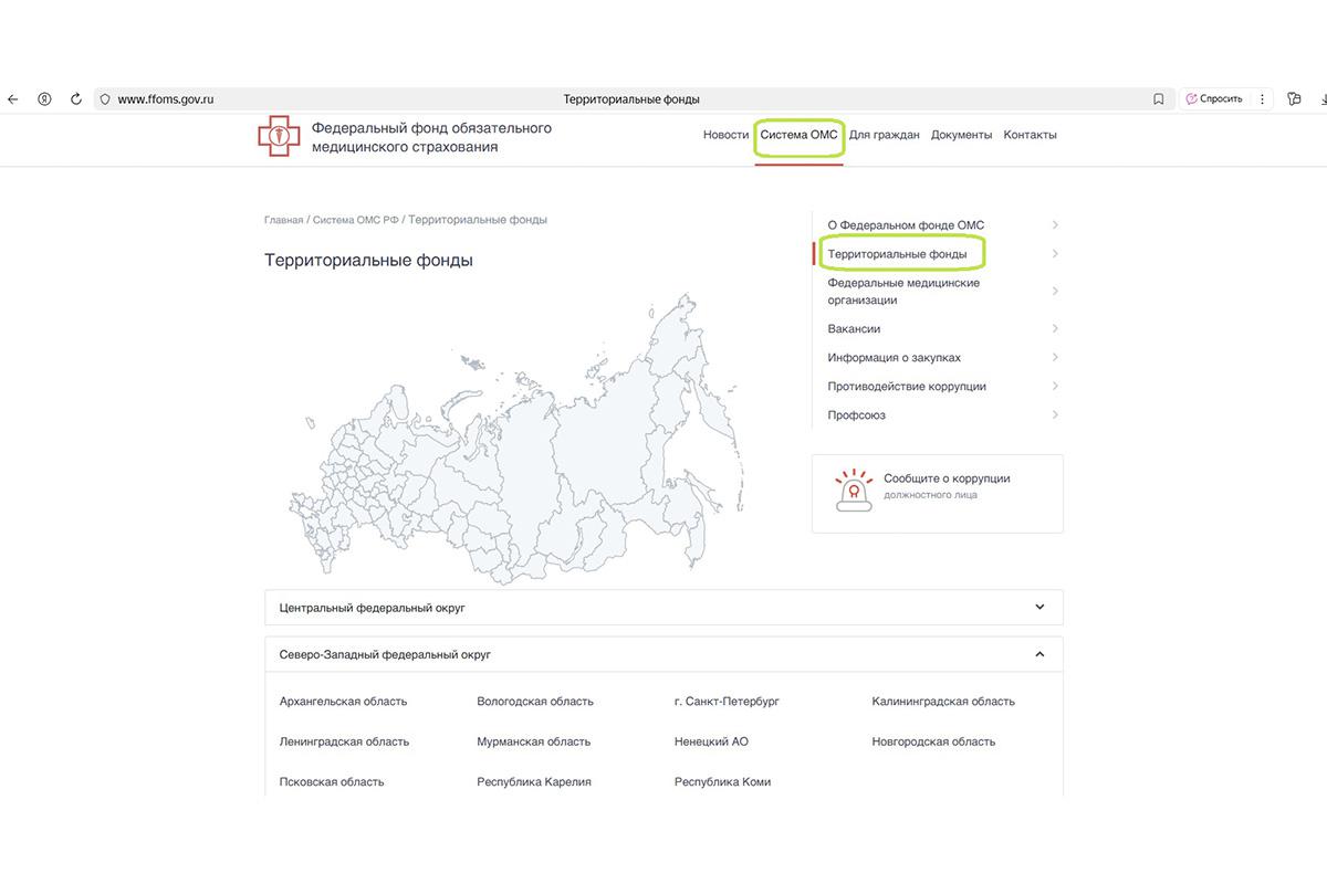 Как проверить полис ОМС на сайте ТФОМС Санкт-Петербурга