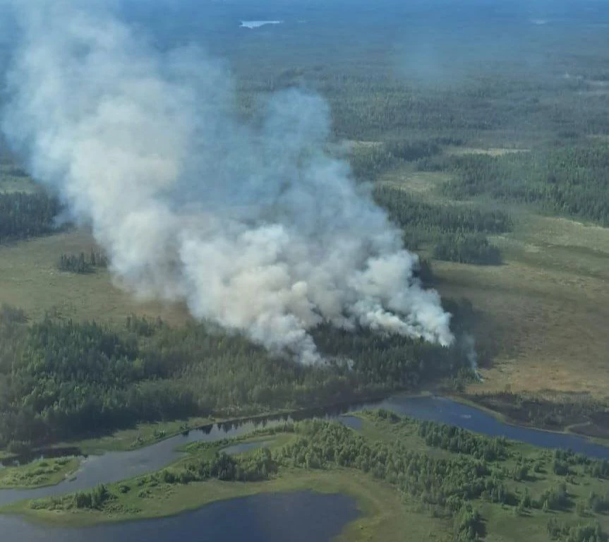 Министерство природных ресурсов и экологии РК / vk.com 
