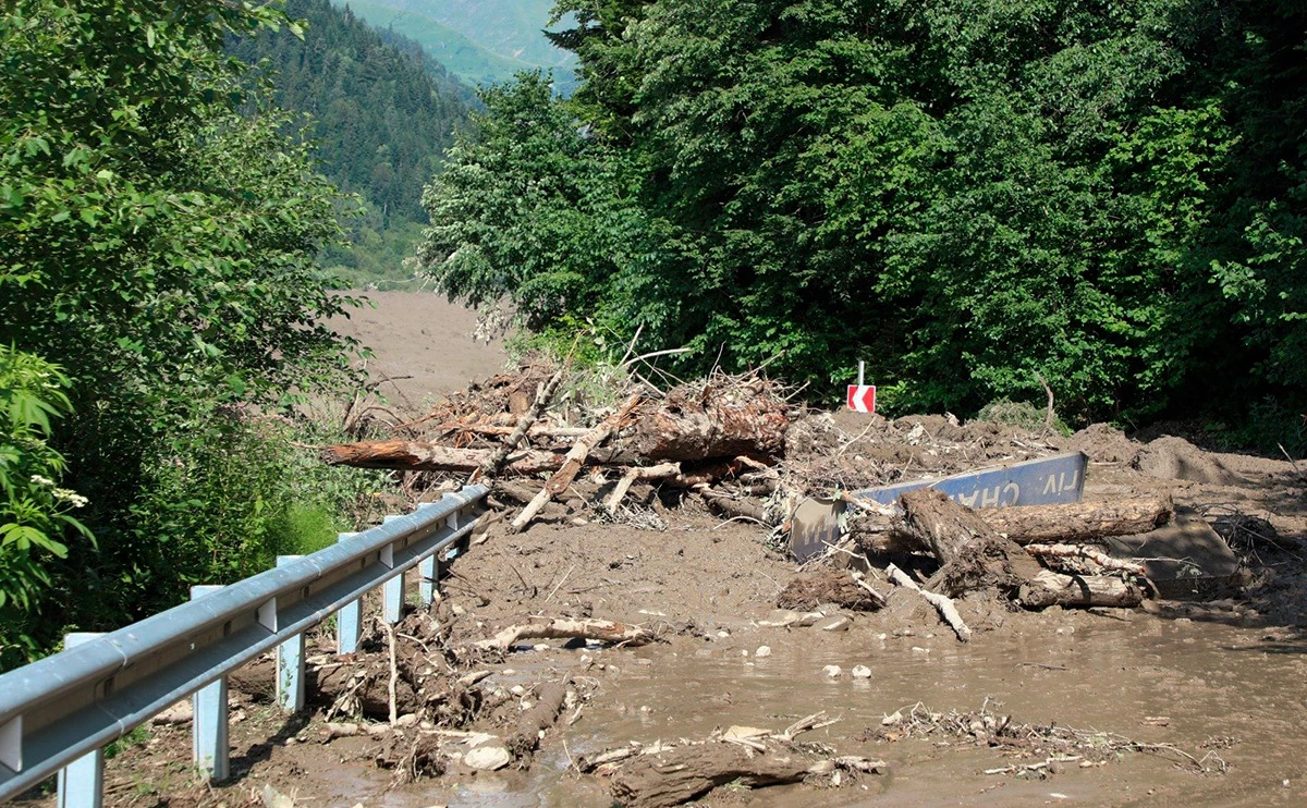 giorgigabri / Twitter