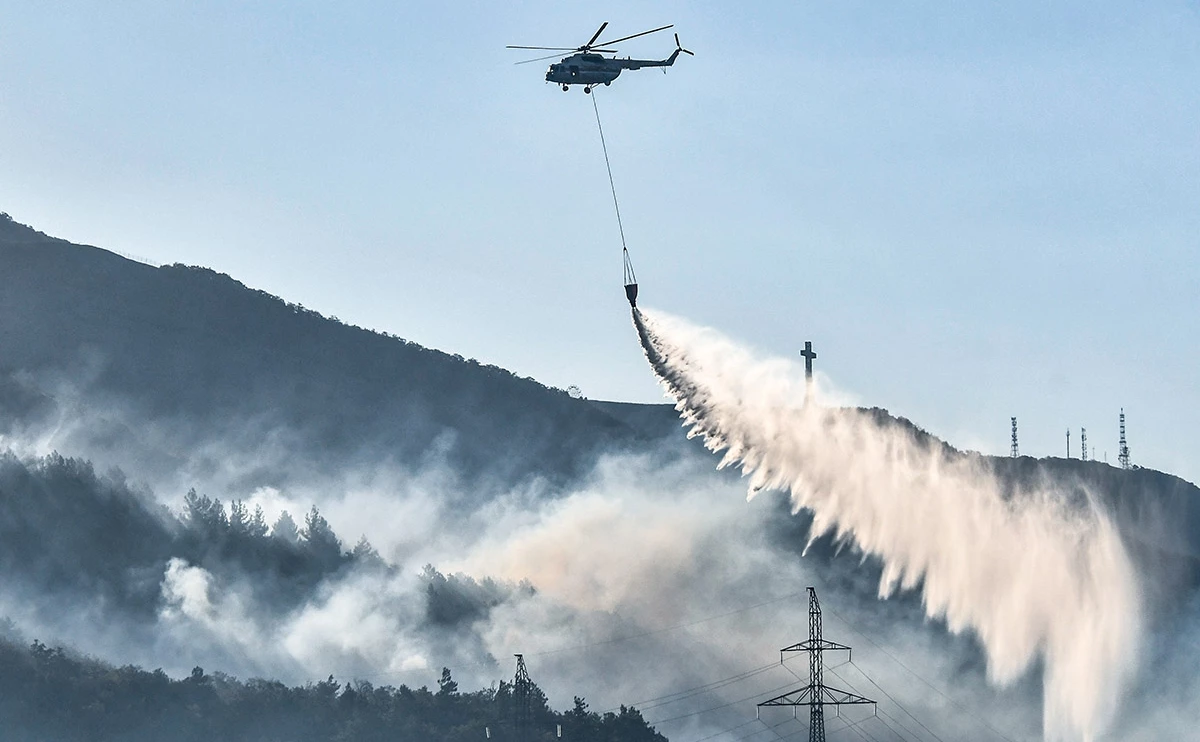 Роман Соколов / ТАСС