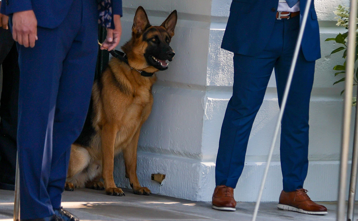 Tasos Katopodis / Getty Images
