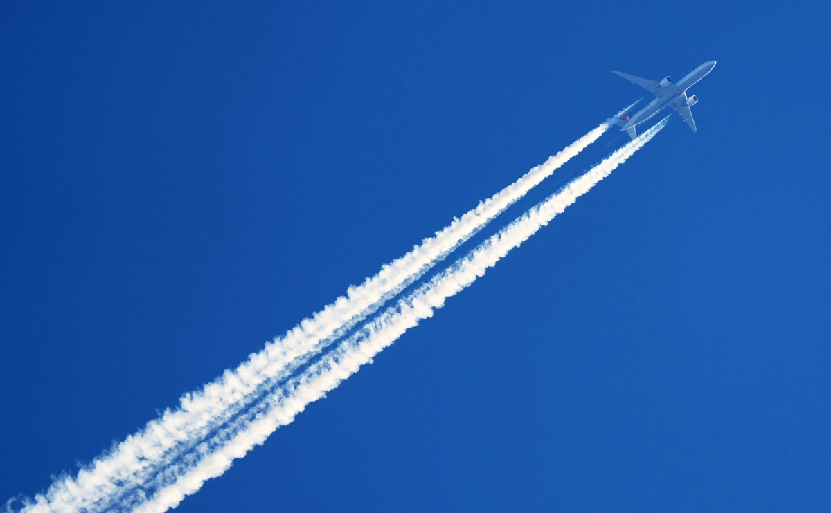 Soeren Stache / dpa / picture-alliance / ТАСС