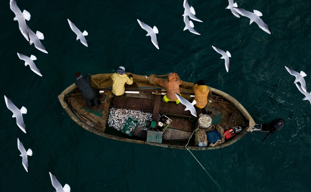 Алексей Мальгавко / РИА Новости