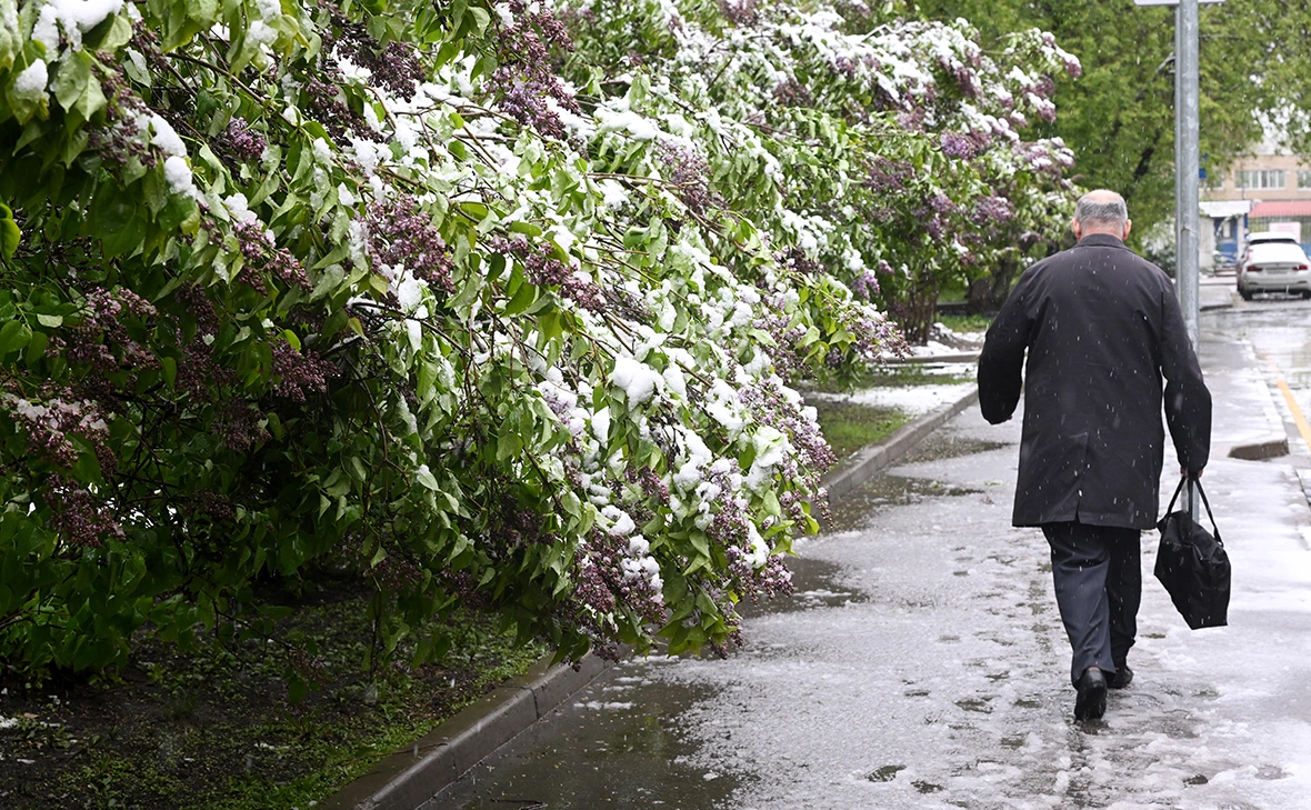 Михаил Воскресенский / РИА Новости