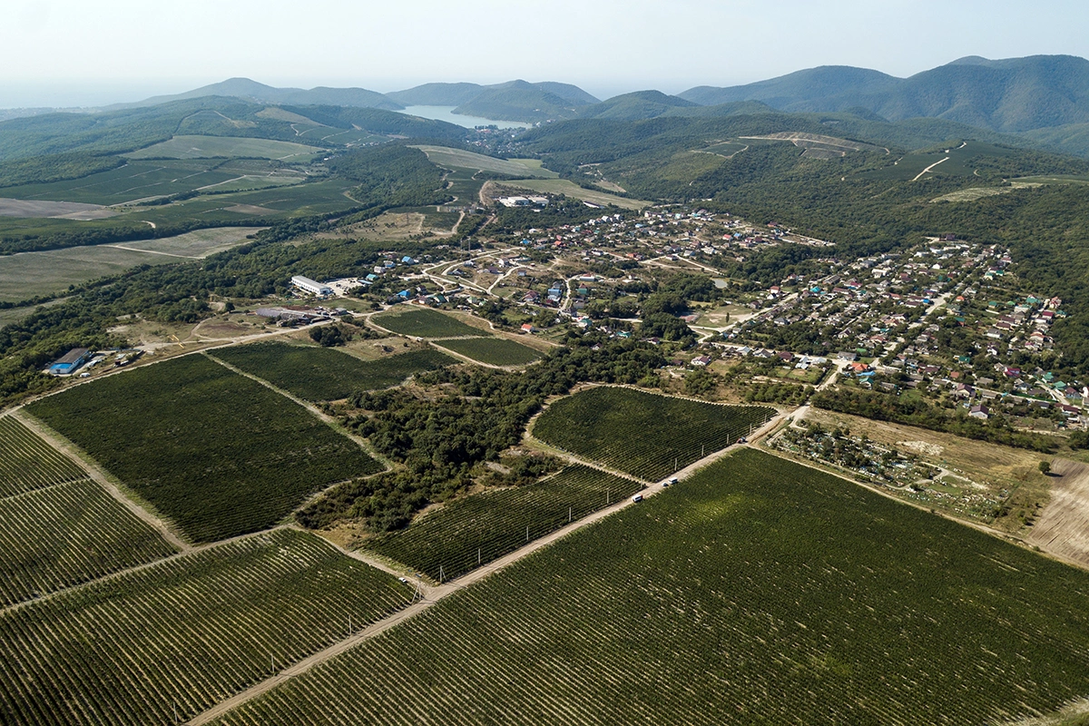 «Абрау-Дюрсо»