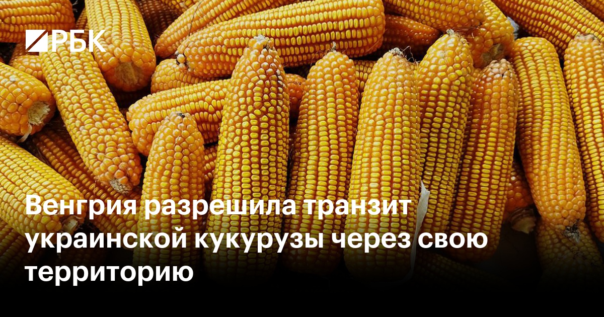 Венгрия разрешила транзит украинской кукурузы через свою территорию