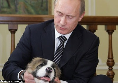 В.Путин выбрал имя для своей новой собаки