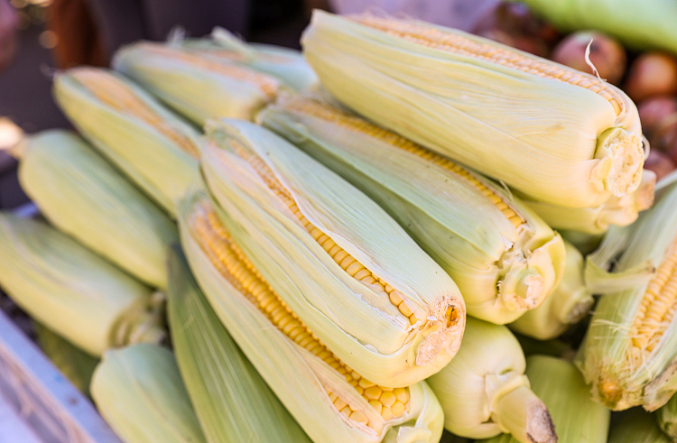 Министерство сельского хозяйства Приморского края