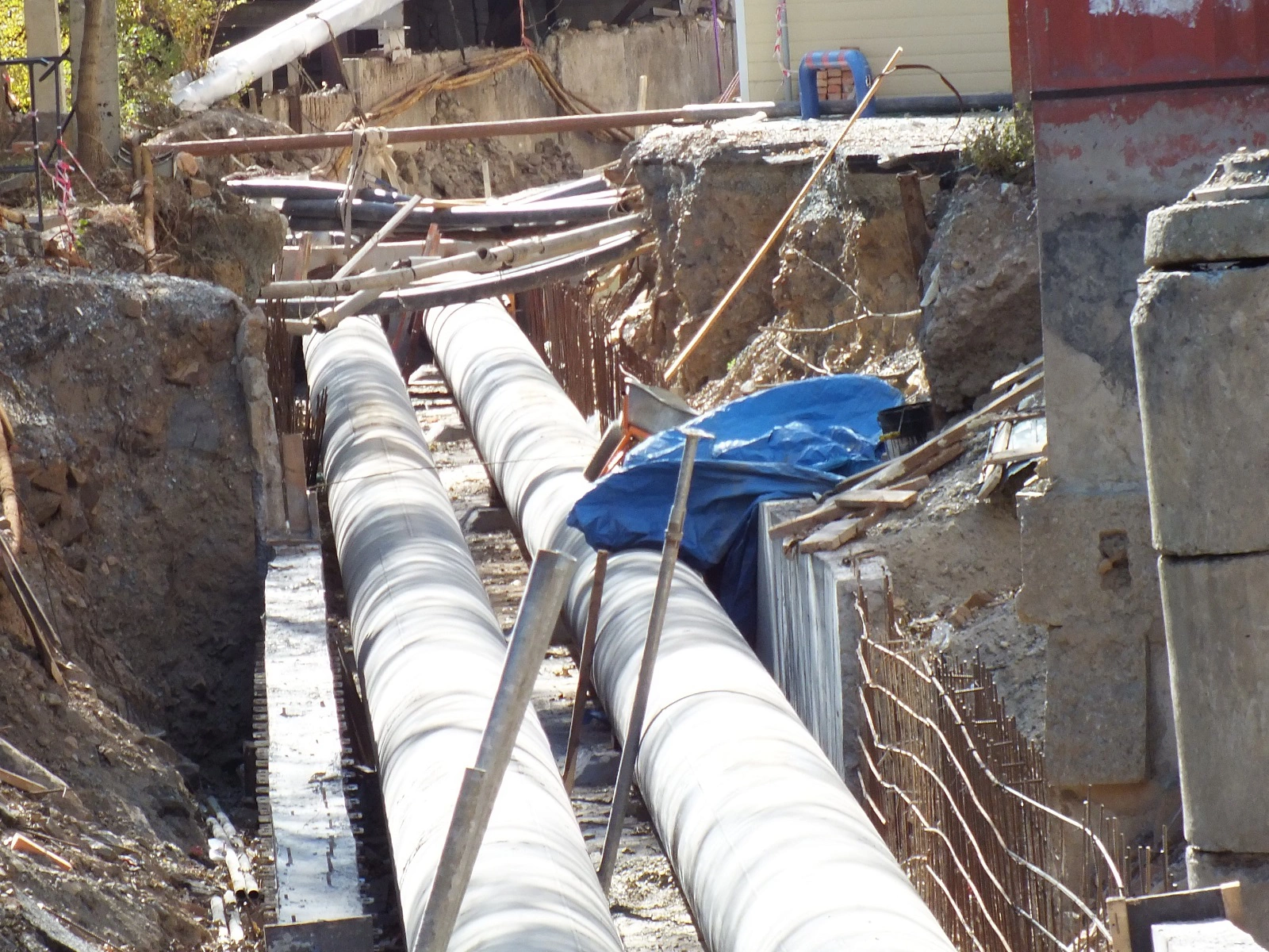 администрация Владивостока