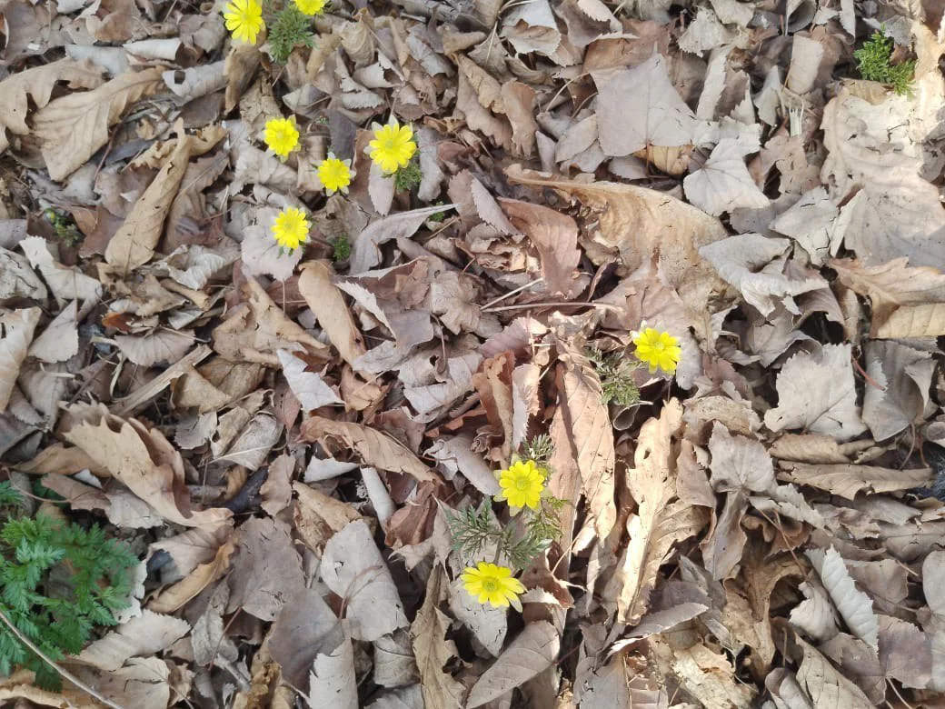 РБК Приморье