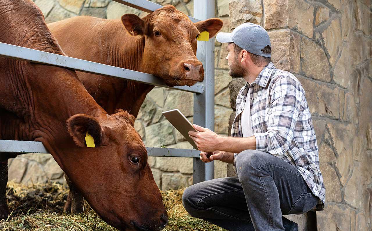 Фото: Shutterstock