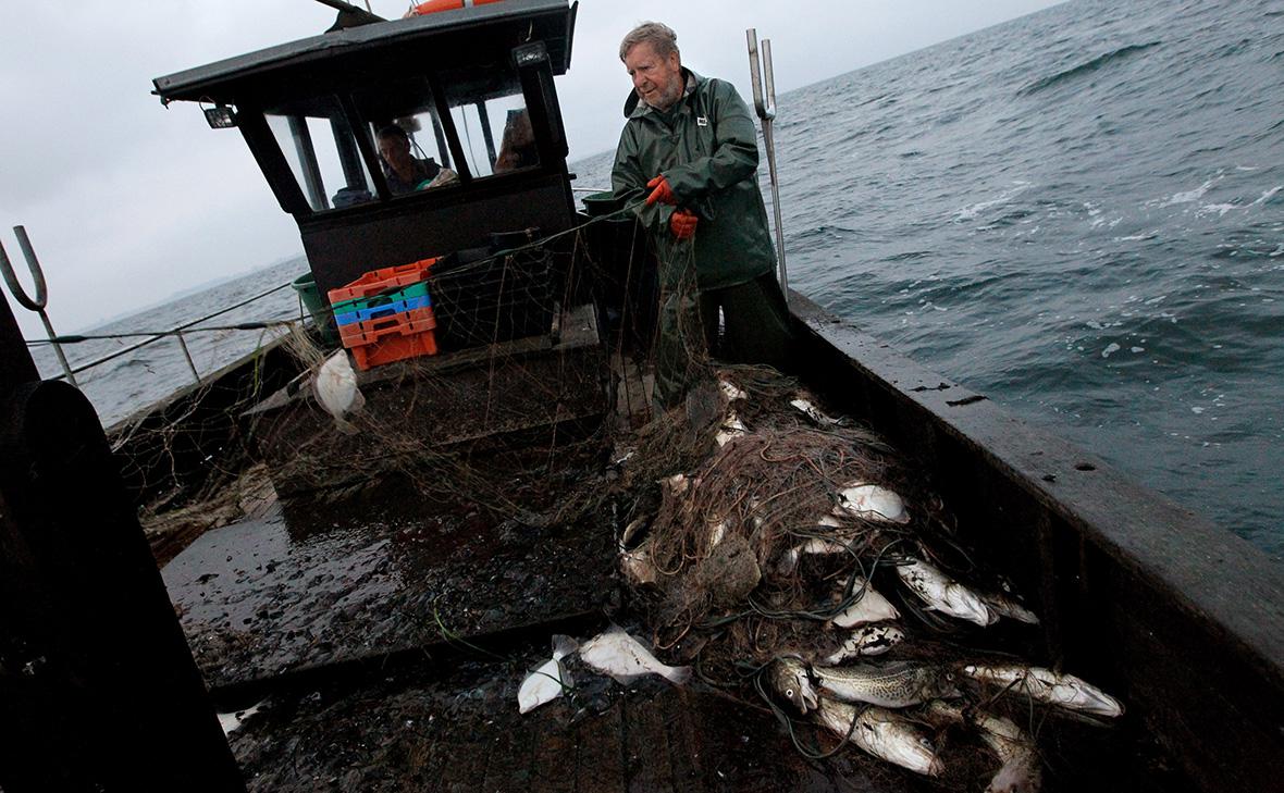 Фото: Sean Gallup / Getty Images