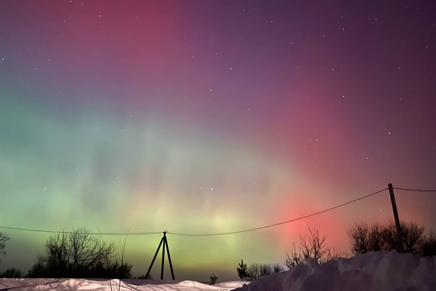 Омская область